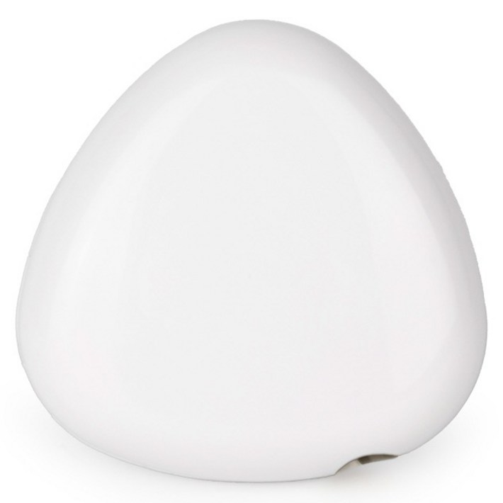 PLEIGO UV C LED 휴대용 충전식 조약돌 칫솔 살균기