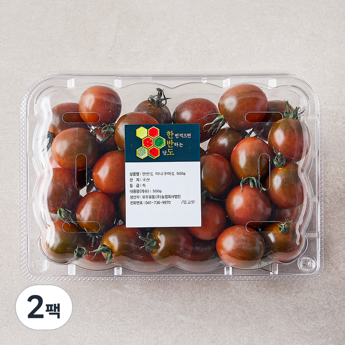 로켓프레시 한반도 쿠마토 미니