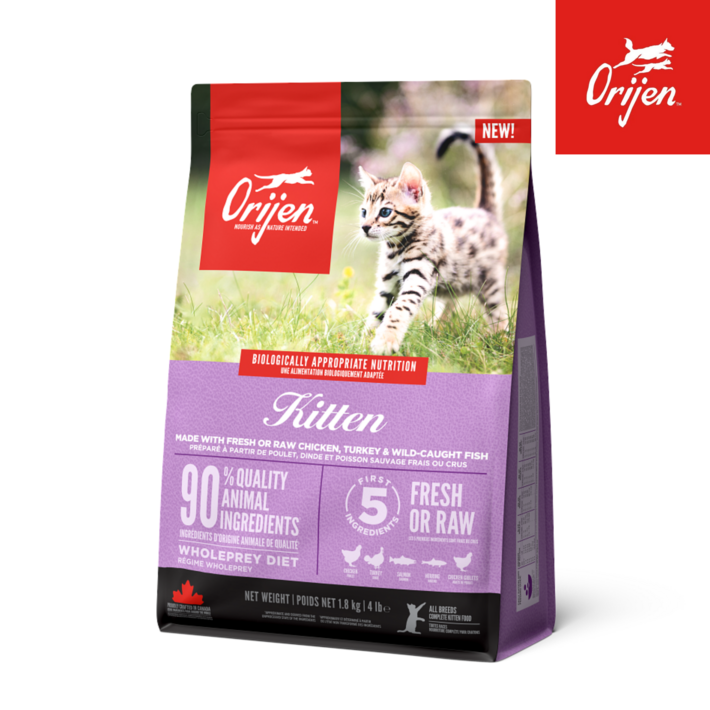 사은품증정오리젠 키튼 애기 고양이 건식사료, 1.8kg, 1개, 닭칠면조