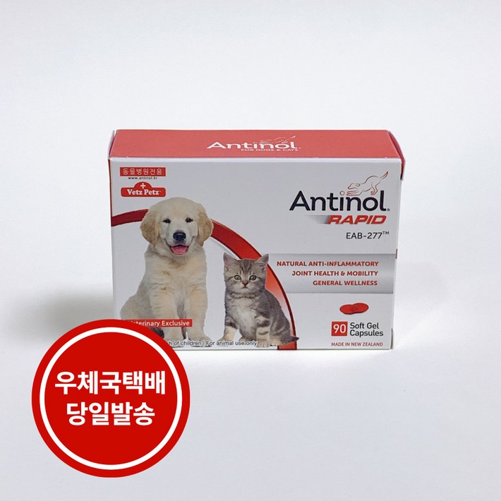 안티놀 래피드 강아지 관절영양제 90정  우체국택배 당일발송 포더펫ForThePet