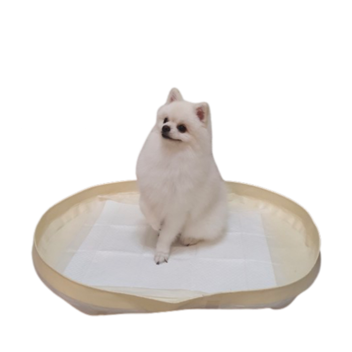 피피 강아지 애견 수컷 배변판 배변매트 방수 화장실