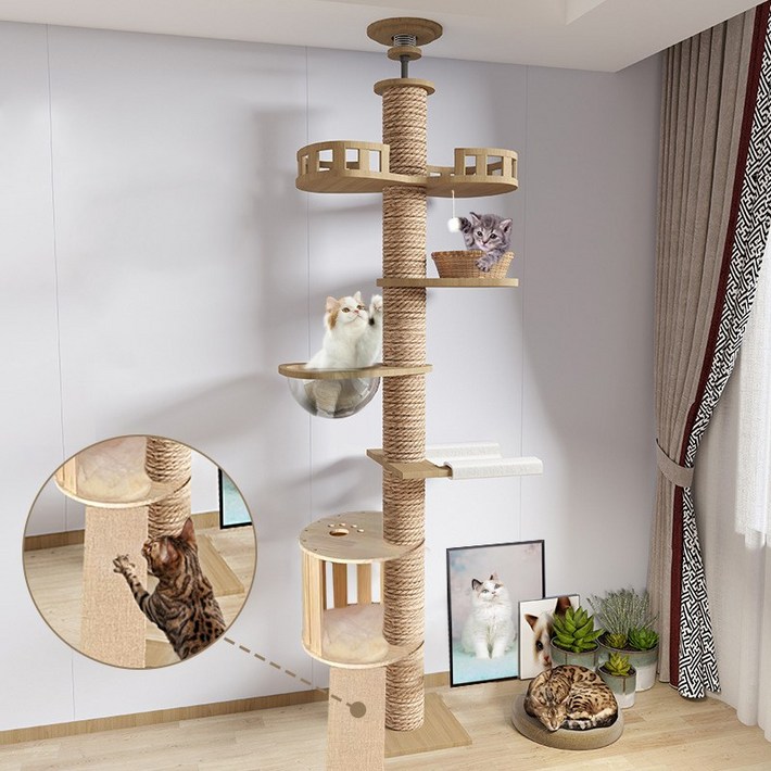 포조이 캣폴, 튼튼한 다기능 고양이 캣타워, 원목 대형 멀티 클라이밍 놀이터 링트리 등반 프레임  스크래쳐  고양이장난감