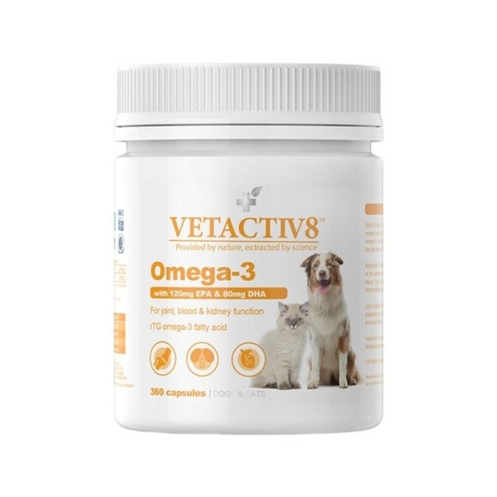 벳엑티브8 오메가3 90캡슐 유통기한20289