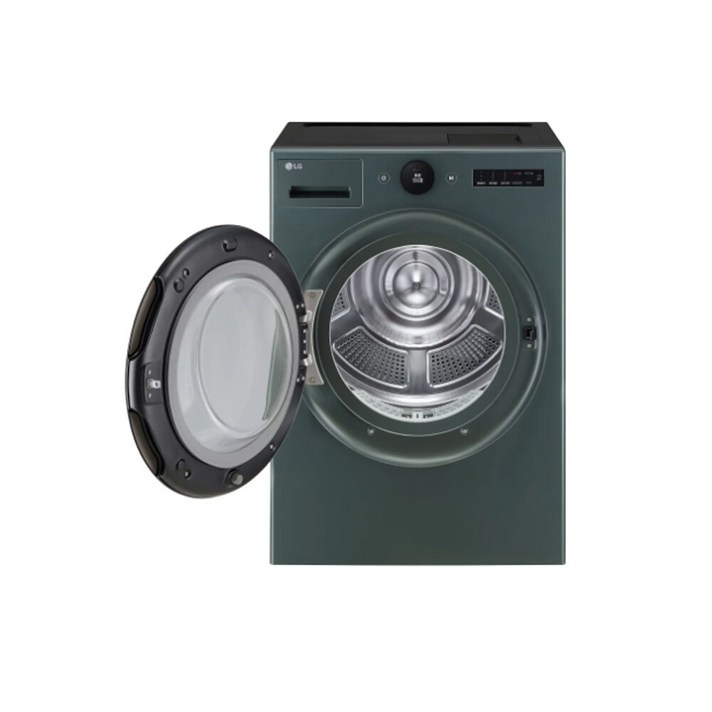 LG 건조기 RD21GS 단독설치 배송무료 신세계, RD21GS, 네이처 그린