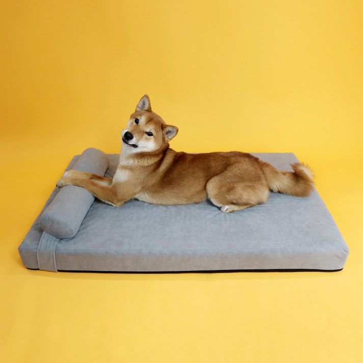 강아지매트리스 개과천선 강아지 독뱃 방석 침대 세트