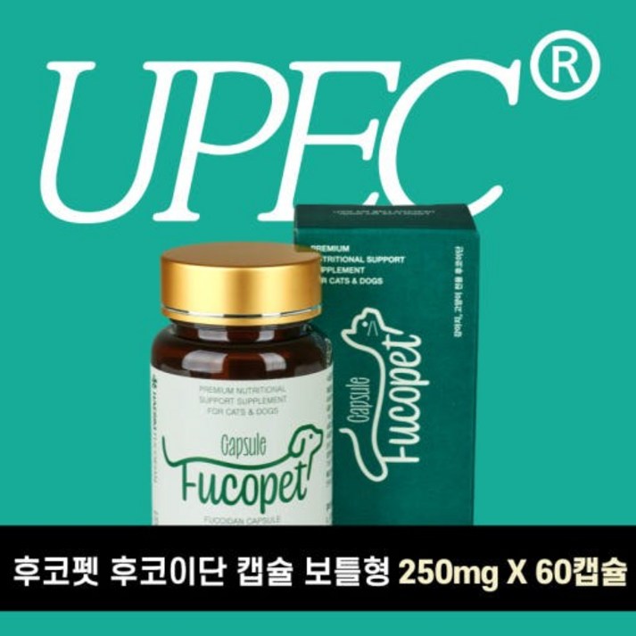 후코펫 후코이단 캡슐 보틀형 60캡슐 100 후코이단 15000mg 후코펫 후코이단 캡슐 보틀형 60캡슐 100 후코이단 15000mg