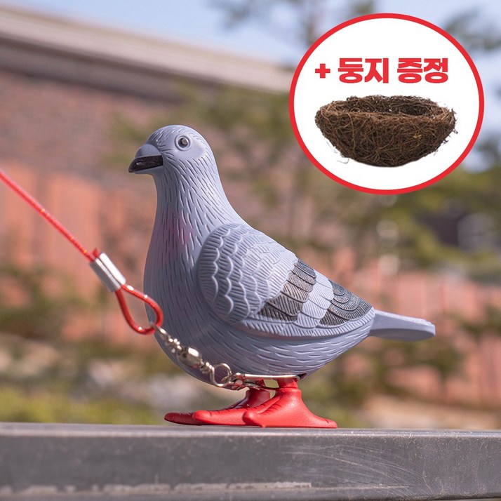움직이는 반려 비둘기 선물세트 (비둘기+둥지+산책줄)