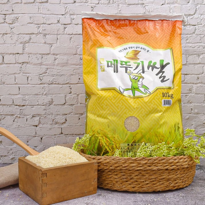 남도드림 고마정미소 맛있는 메뚜기쌀 백미 10kg, 1개