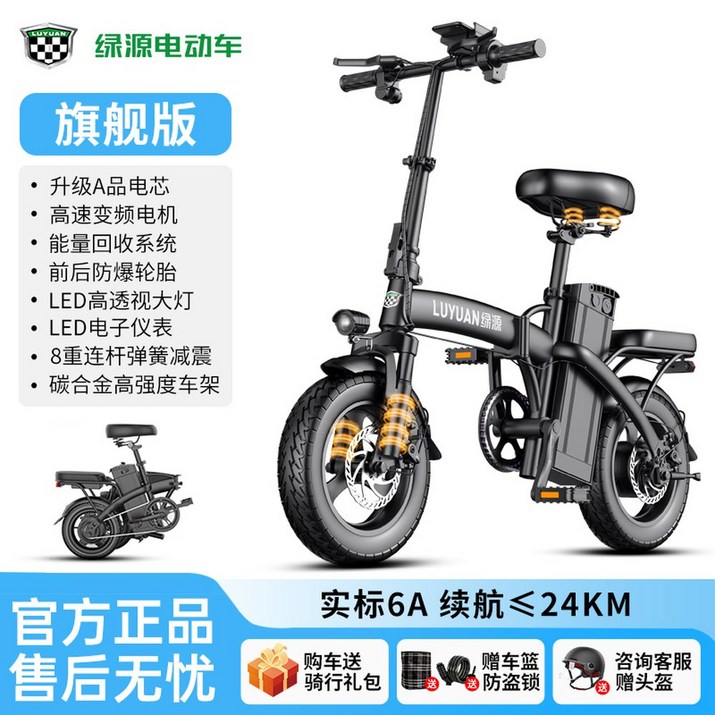 전기 자전거 전동자전거 전기스쿠터 배달용 뒷자리 애견 일렉트릭 750W 빠른