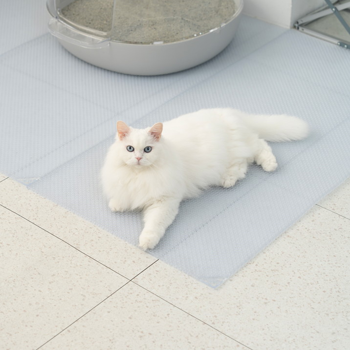 냥쌤 투명 캐치매트 고양이 모래 매트 사막화 방지 발판 패드, 10개, 투명