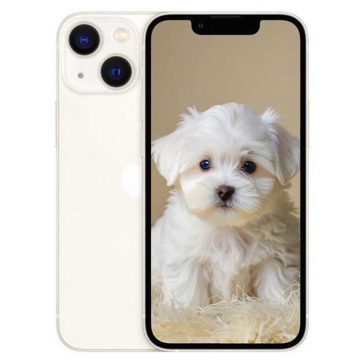 아이폰 13 미니 새제품 정품 128GB