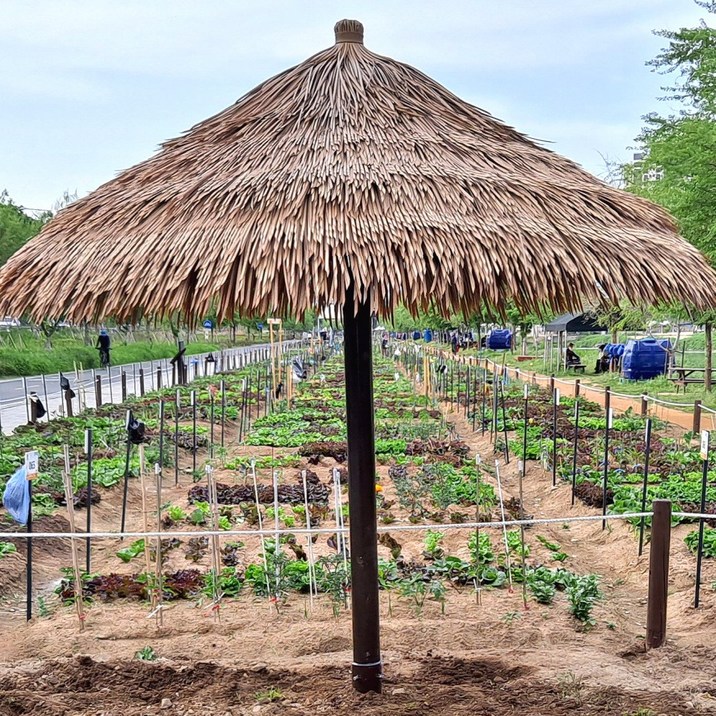 코아하우징 특대형 인조 초가 시공용 조립식 야외 파라솔 감성 카페 해변 비치