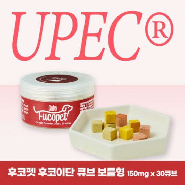 후코펫 후코이단 큐브 보틀형, 30큐브, 치킨맛, 국산 미역귀 후코이단 4500mg 함유 후코펫 후코이단 큐브 보틀형, 30큐브, 치킨맛, 국산 미역귀 후코이단 4500mg 함유