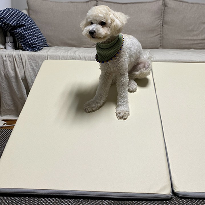 요요쉬 반려동물 논슬립 스텝, 아이보리, 1개