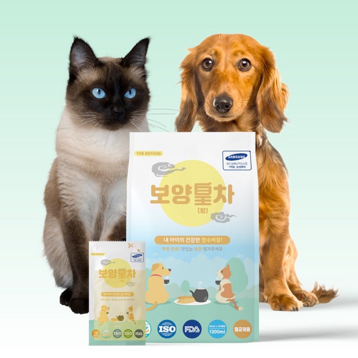 더보양 보양황차 30팩 국내생산 각종인증 황태로 만든 강아지 고양이 보약 건강 보양음료, 황태100 반려동물 보약 40ml x 30팩, 40ml 더보양 보양황차 30팩 국내생산 각종인증 황태로 만든 강아지 고양이 보약 건강 보양음료, 황태100 반려동물 보약 40ml x 30팩, 40ml