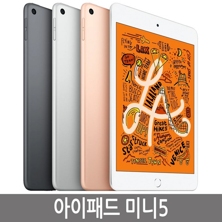 Apple iPad mini 5세대