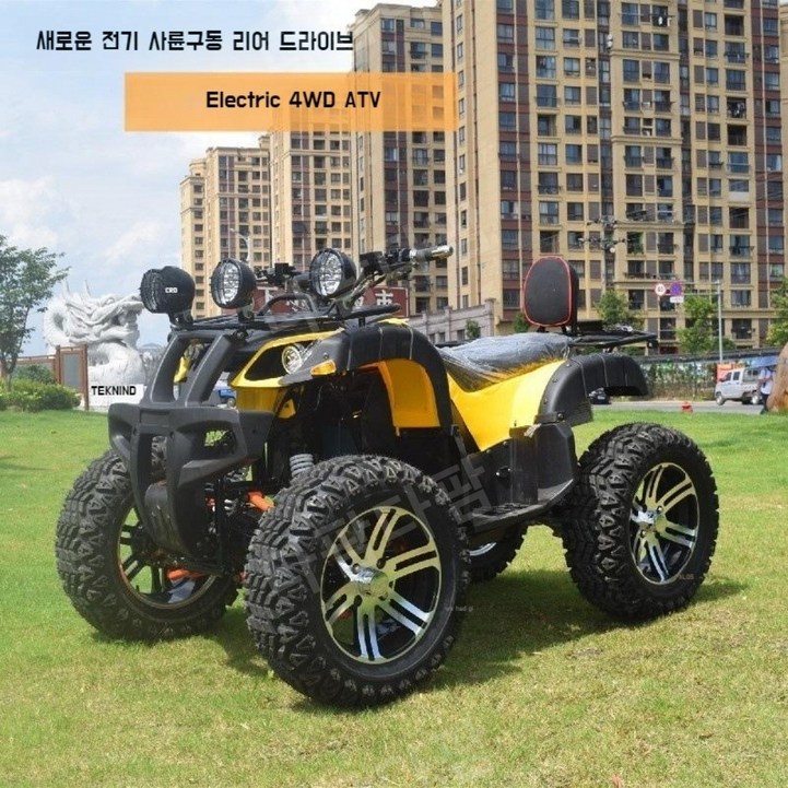 만능 다재다능 농업용 슈퍼파워 전기 4륜 ATV 4륜 구동 ATV 산 오프로드 전 지형 2200W 새 오토바이의