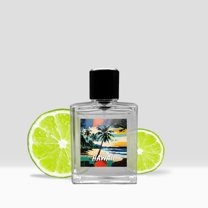 스턱인디에어 프루티 향수 하와이 50ml