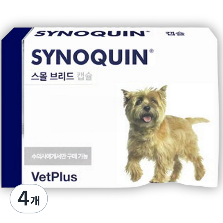 벳플러스 사이노퀸 스몰브리드 강아지 독 소형견 관절 연골 영양제 캡슐형