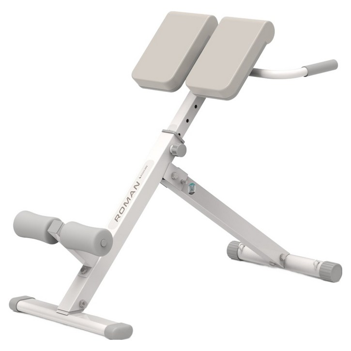 이고진 백익스텐션 코어 운동 로만체어, 베이지