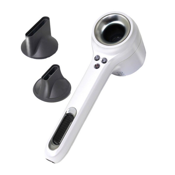 레이트 데이노바 프리미엄 헤어드라이기 PHD8 1500W