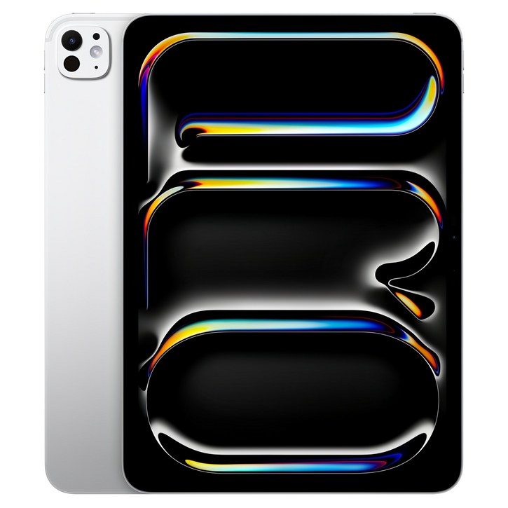 Apple 정품 2024 아이패드 프로 11 M4칩 스탠다드 글래스