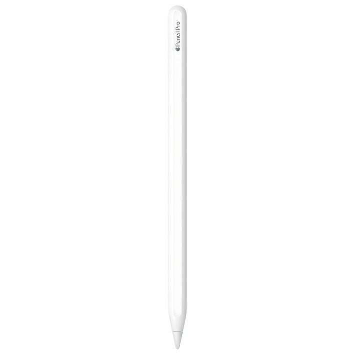 Apple 정품 애플펜슬 프로, 화이트, 1개