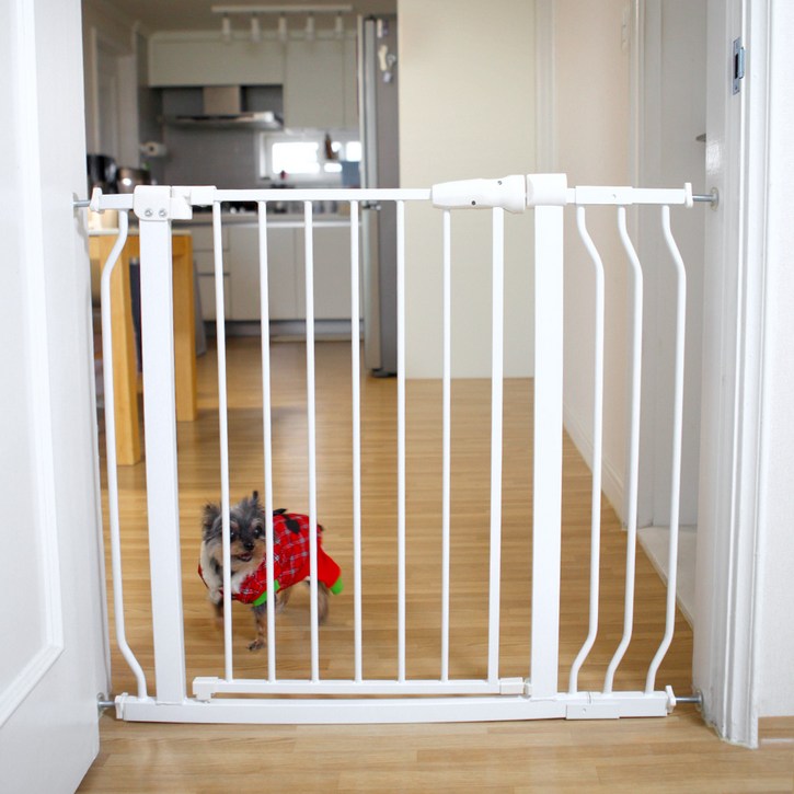 펫츄츄 반려동물 안전문 펜스 대형, 1개, 본품별도