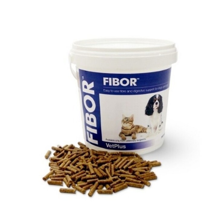 벳플러스 파이보 500g