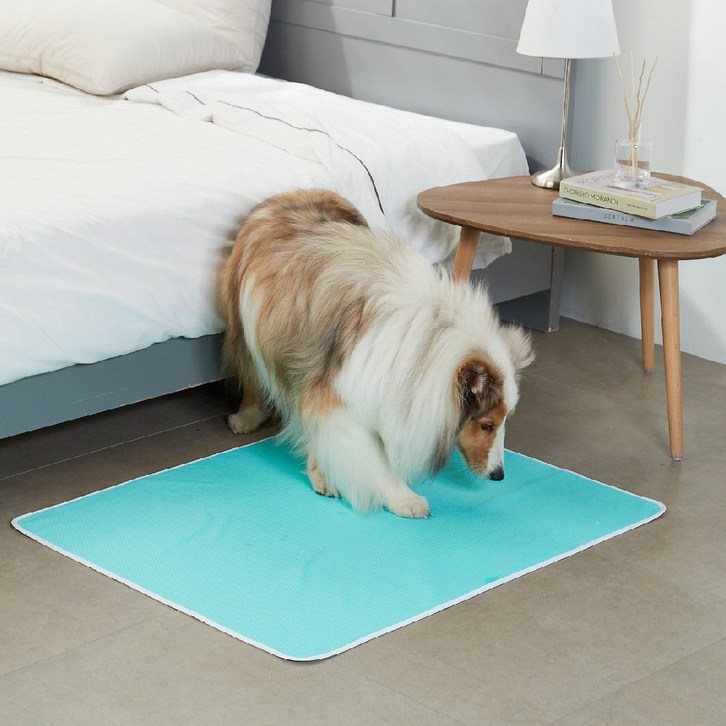 루플리 에코패드 대형 L  강아지 빨아쓰는 배변패드 친환경 배변매트, 3개입, 1세트