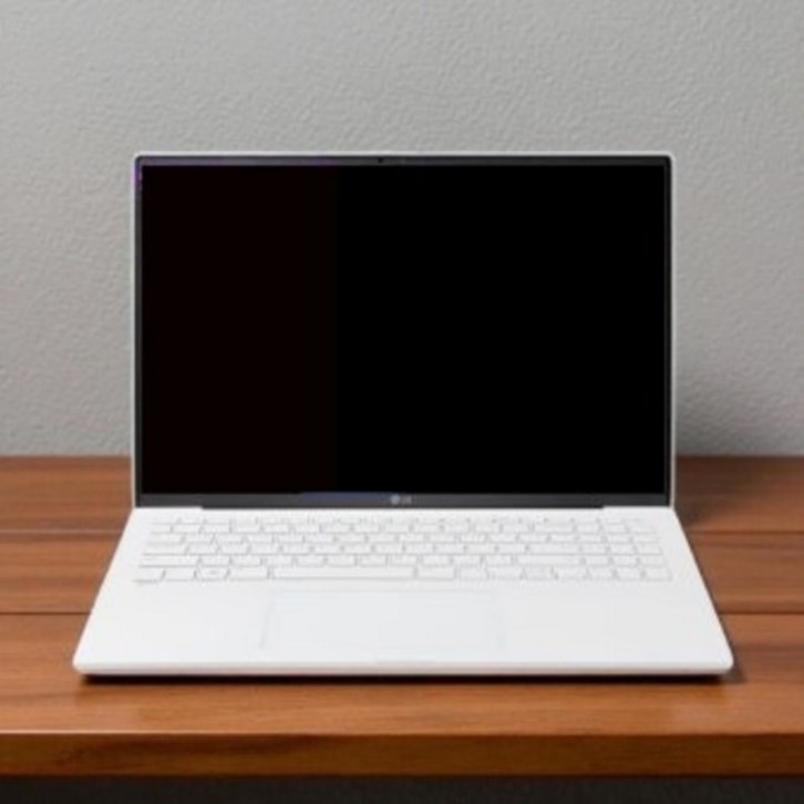 LG전자 2025 그램 14 코어Ultra7 