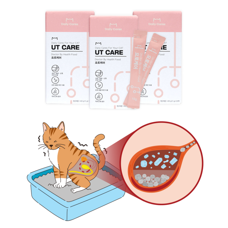 닥터바이 요로케어 고양이 신장 영양제 방광 요로 건강 배뇨 도움, 1세트, 유리너리 (비뇨계), 요로케어