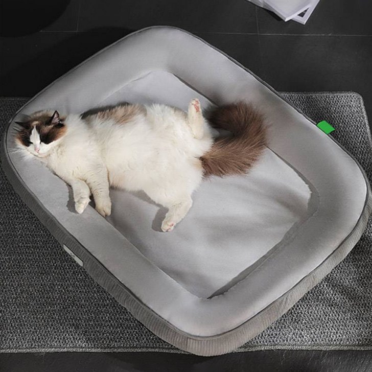 딩동펫 반려동물 딥슬립 타원형 방석 쿠션