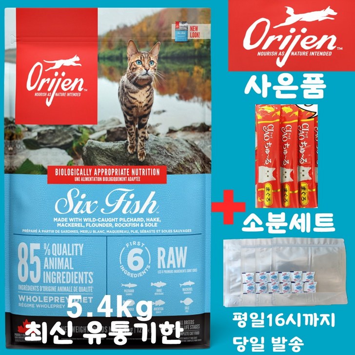 오리젠 6 식스 피쉬 캣 견성상사 단독 사은품 증정 판매자 확인필수, 1개, 5.4kg, 해산물