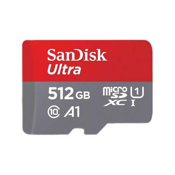 마이크로 SD카드 64GB 128GB 256GB 512GB샌디스크, 256GB