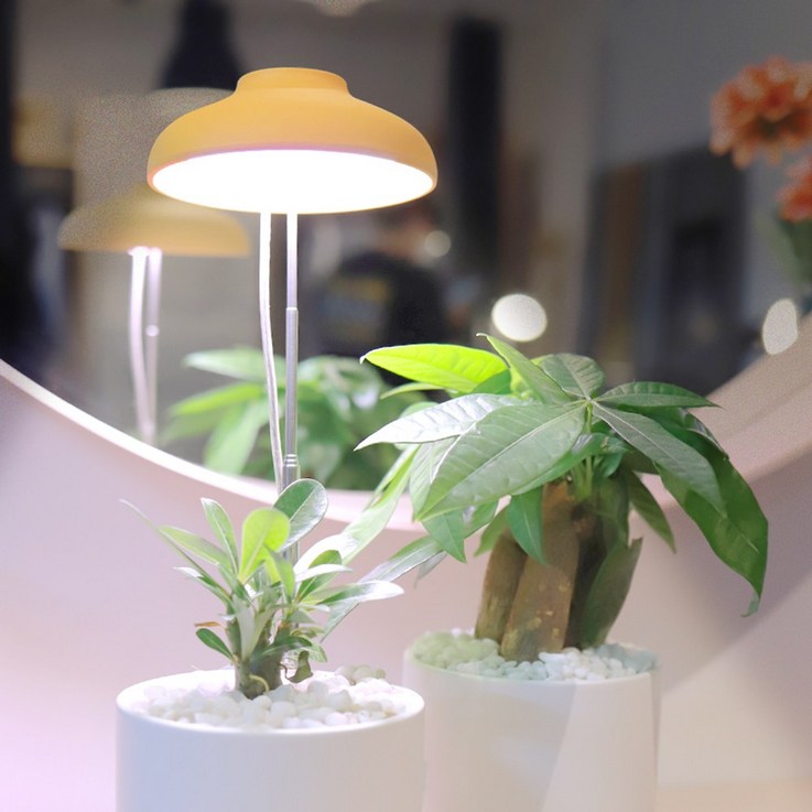 식물전파사 빛뿌리개, LED 식물등 생장 효과 식물 조명, 화이트 (리뉴얼버전 : 멀티스위치) 4