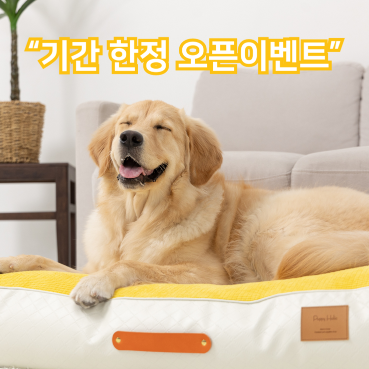 국내제조 갓성비 견이로움 강아지 애견 쭉쭉 방석 쿠션 중형 대형, 머스타드 국내제조 갓성비 견이로움 강아지 애견 쭉쭉 방석 쿠션 중형 대형, 머스타드