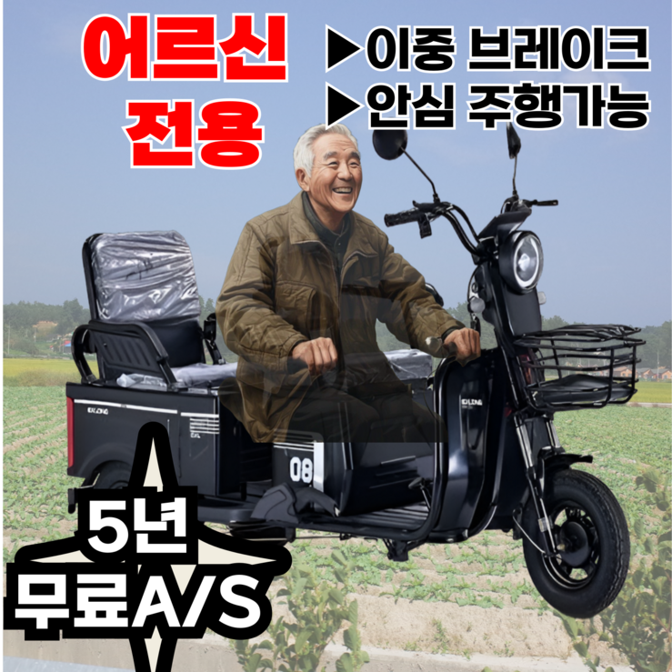 Ezybike 쉬운조작 세발전기자전거 어르신 전동 자토바이 출퇴근 스쿠터, 블랙, 스틸 Ezybike 쉬운조작 세발전기자전거 어르신 전동 자토바이 출퇴근 스쿠터, 블랙, 스틸