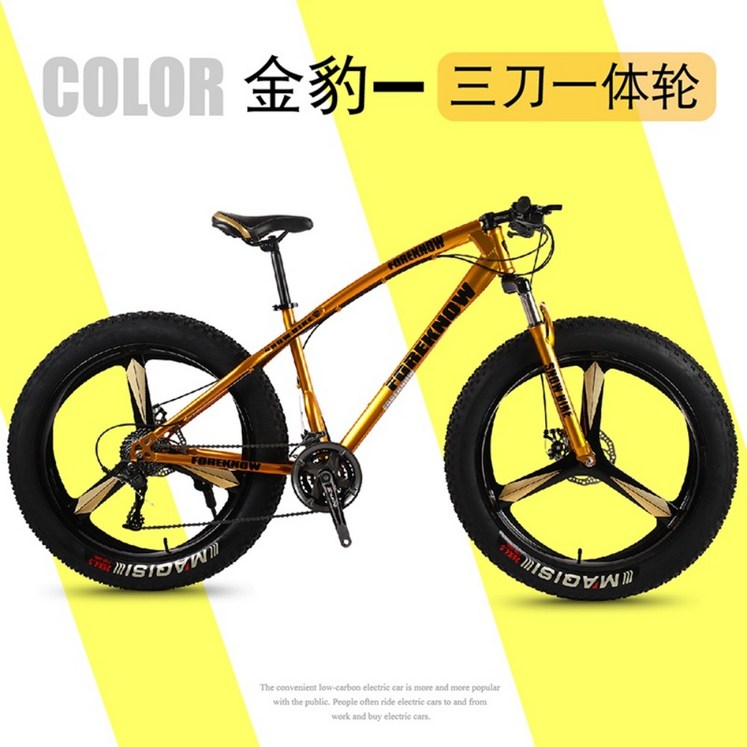 오프로드 광폭타이어 팻바이크 바퀴큰자전거 산악용 자전거 7단 화이트 MTB 20인치
